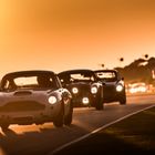 2021 Goodwood Revival Timetable!
