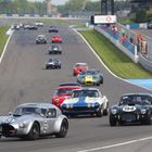 Phtoo of huge entry for Silverstone Classic Pre-66 GTs