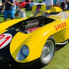 Amelia Island Concours d'Elegance Changes Date for 2020