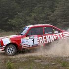 Gallery: Historic Rally Action from the Red Kite Stages